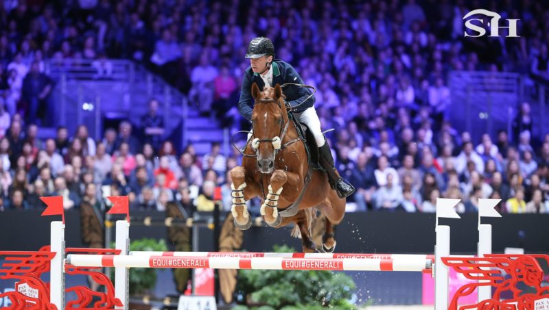 Rubens La Silla au haras de Talma