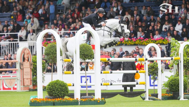 Clarimo au Haras de Talma.