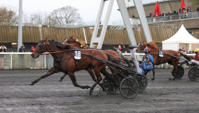 Idao du Tillard réalise le doublé dans le prix d’Amérique.