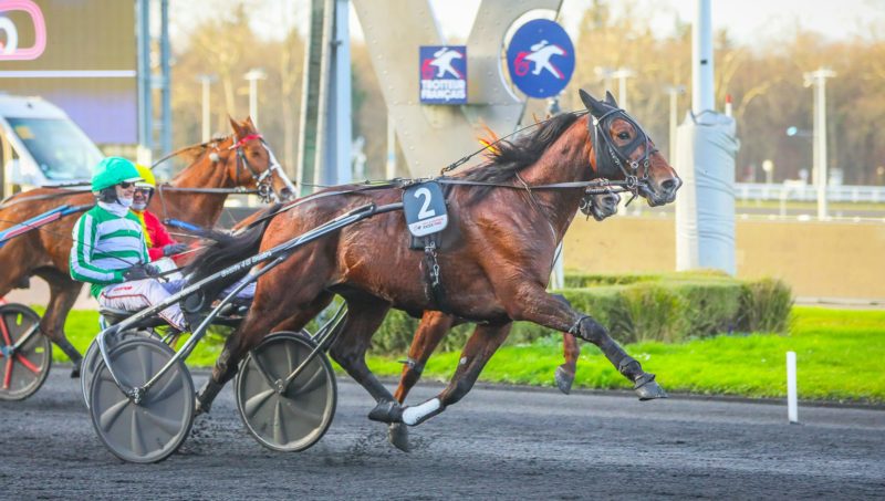 Fin définitive du meeting d’hiver pour Jushua Tree.