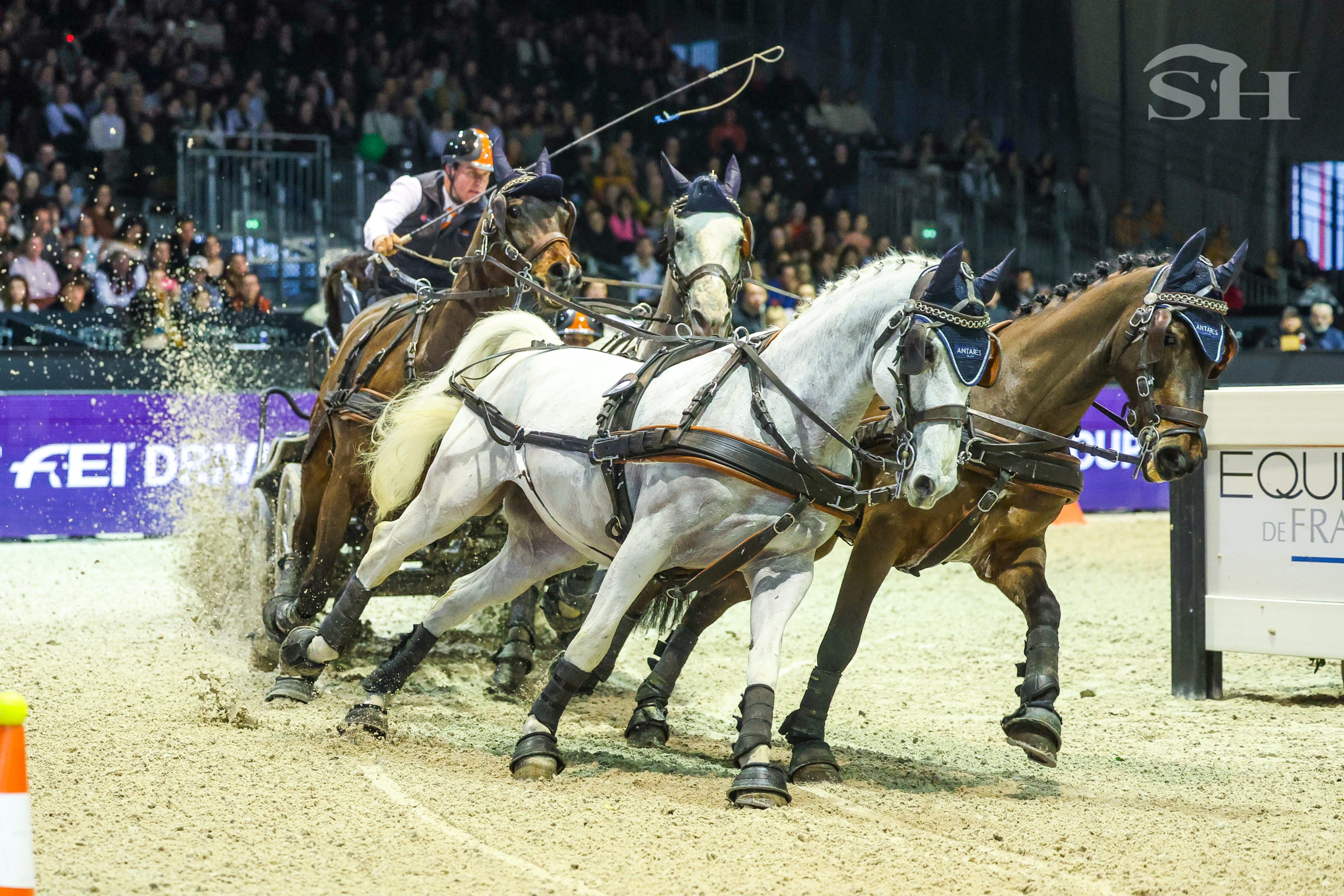 DRIVING WC Bordeaux 25