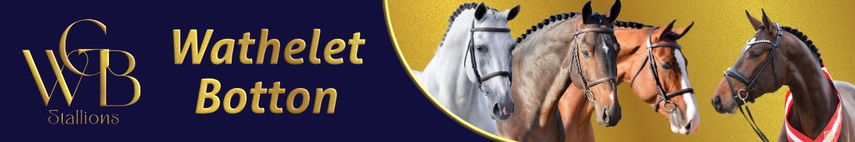 Wathelet Botton Stallions