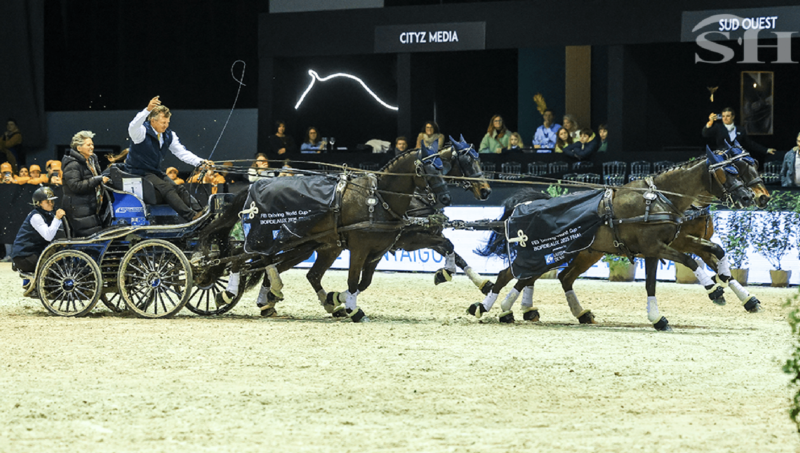 Finale de la Coupe du Monde d’Attelage 2025 : Boyd Exell, en maître incontesté.