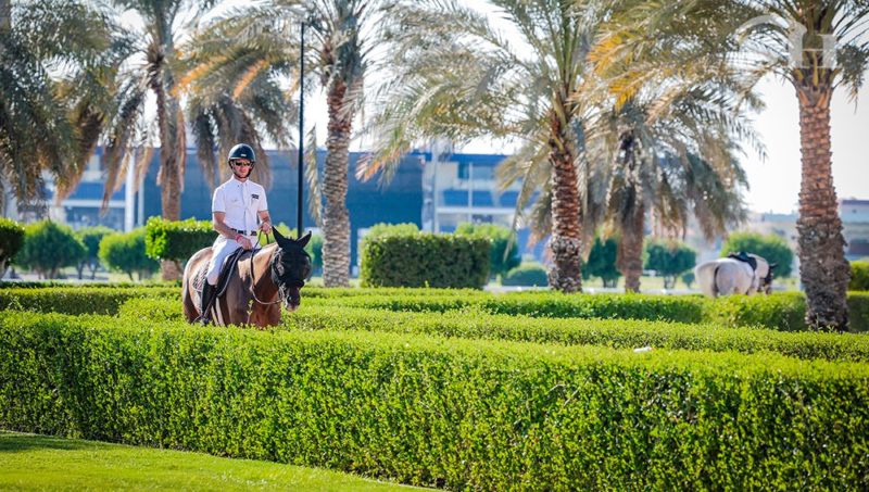 Un hiver bien au chaud et bien mené par Constant Van Paesschen !