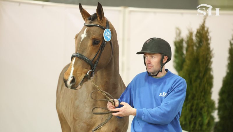 Quartolo de Marguy sur les traces de ses ancêtres.