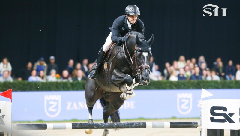 T&L à Lier ce 6 avril pour son show d’étalons !