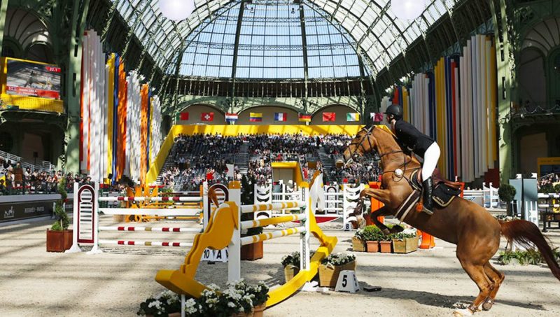 Le Grand Palais : histoire d’une élégance équestre parisienne.
