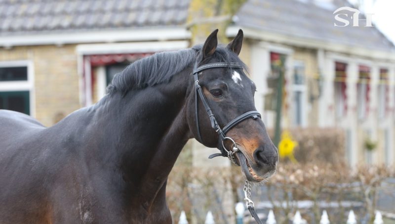 Indoctro VDL n’est plus.