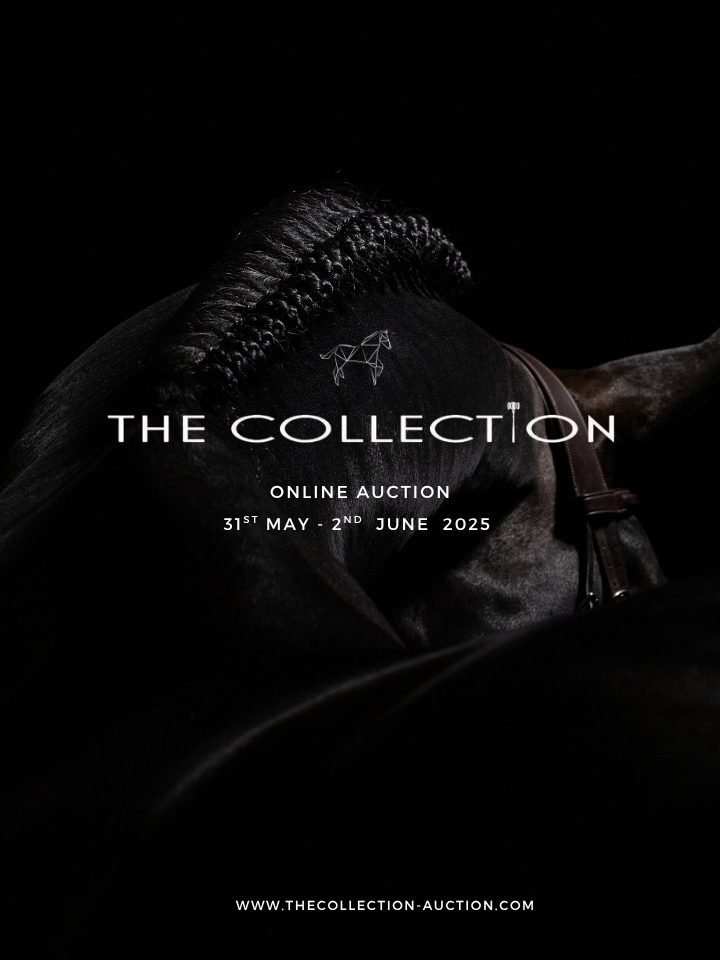 The Collection