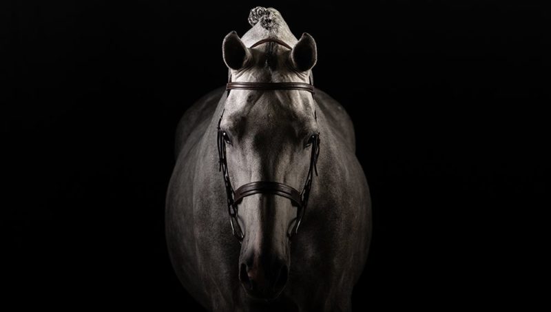 Plus qu’une simple Collection…