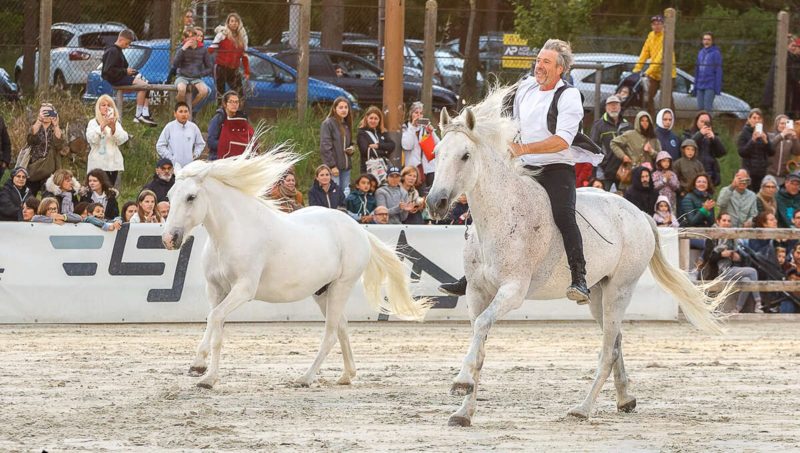 Jean-François Pignon en vedette du Jumping international de Courrière.