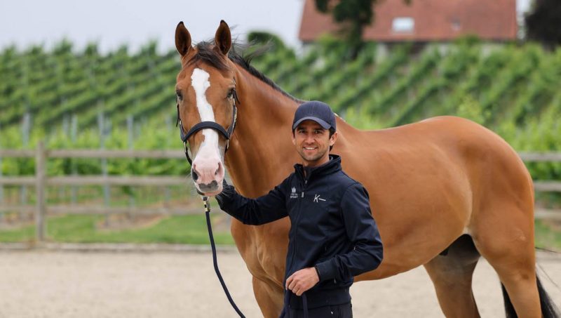 Ilex désormais associé à Marlon Zanotelli.