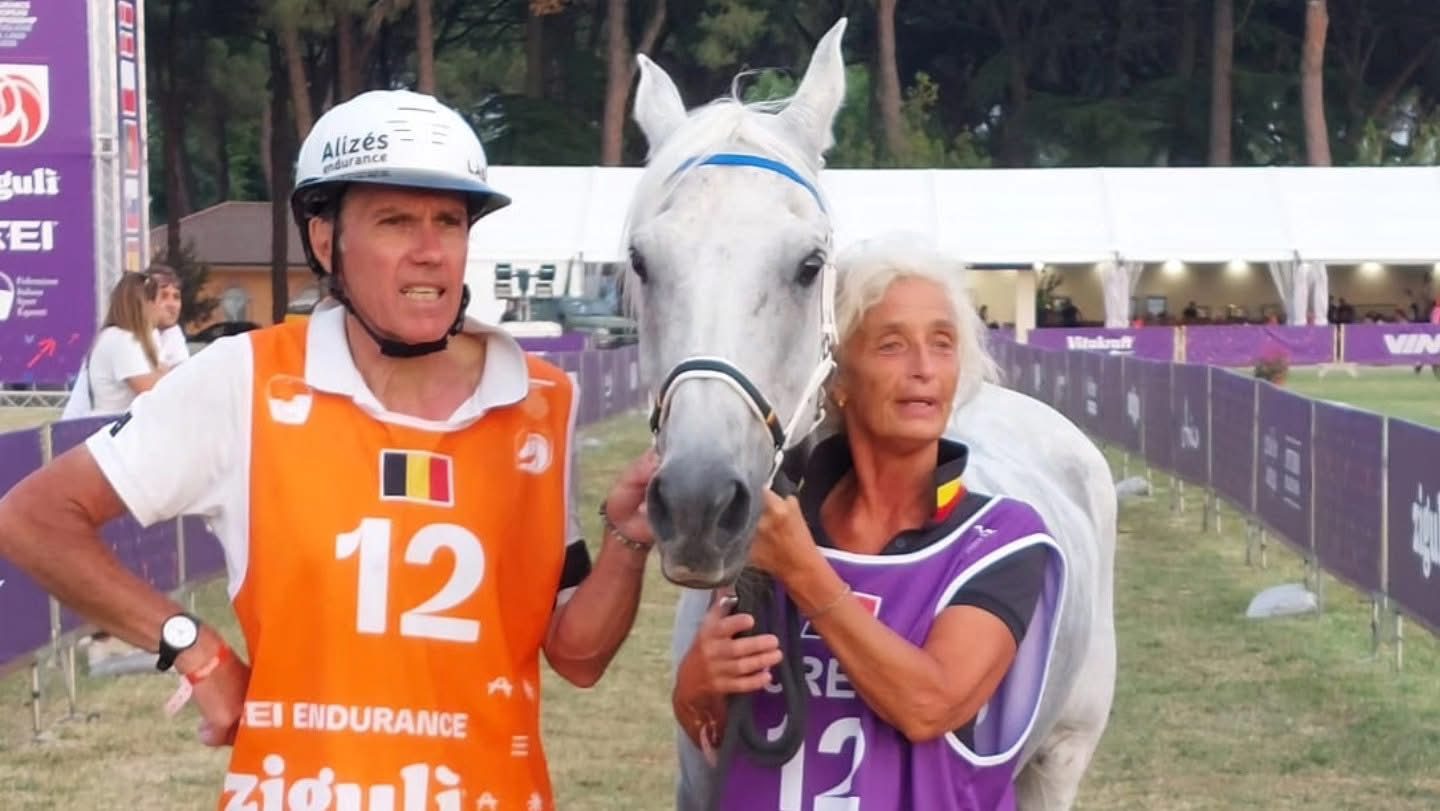 Endurance Equifans