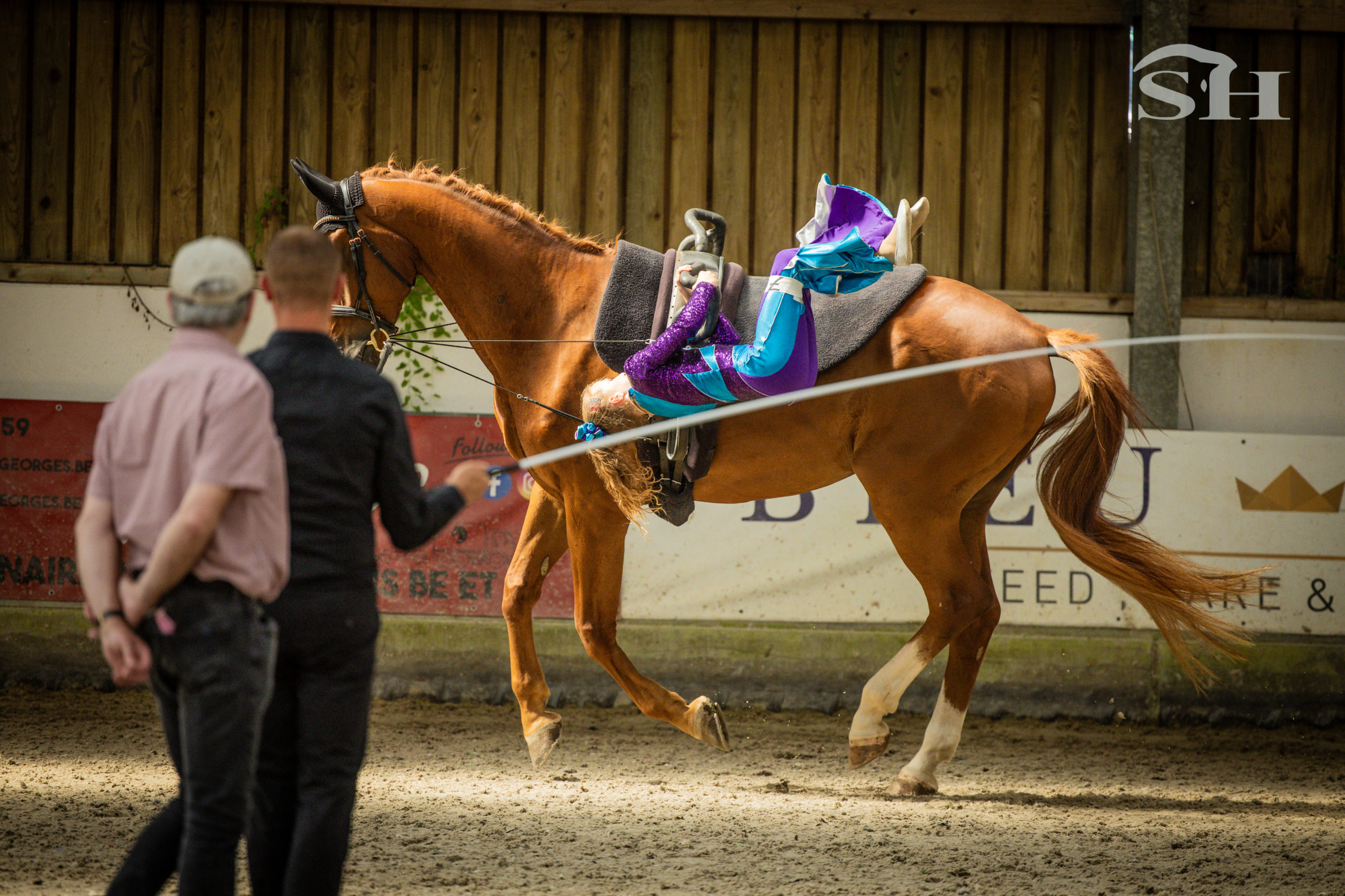 Louise Meskens, Voltige
