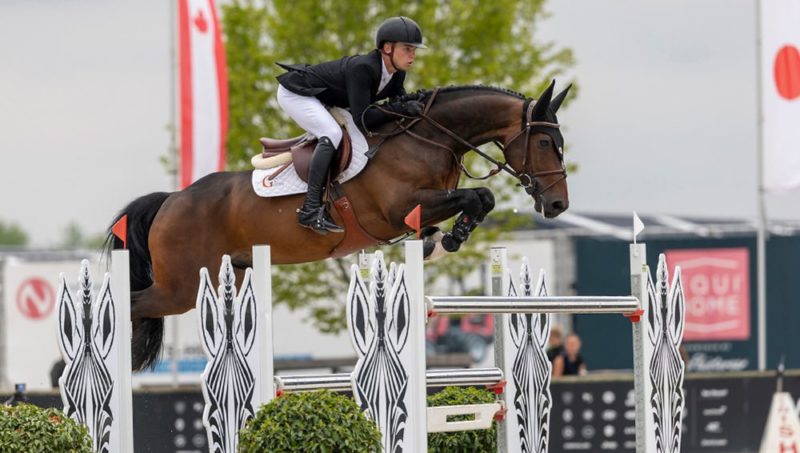 L’avenir du jumping belge en forme à Lier.