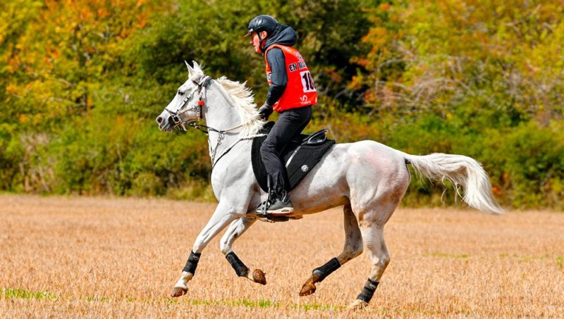 « Papy » fait de l’endurance.