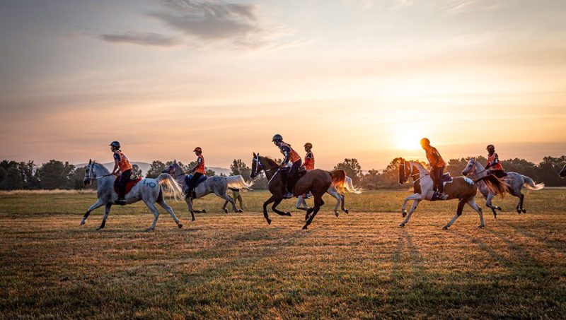 Castiglione del Lago : Visser en or, l’Espagne en force, la Belgique jusqu’au bout