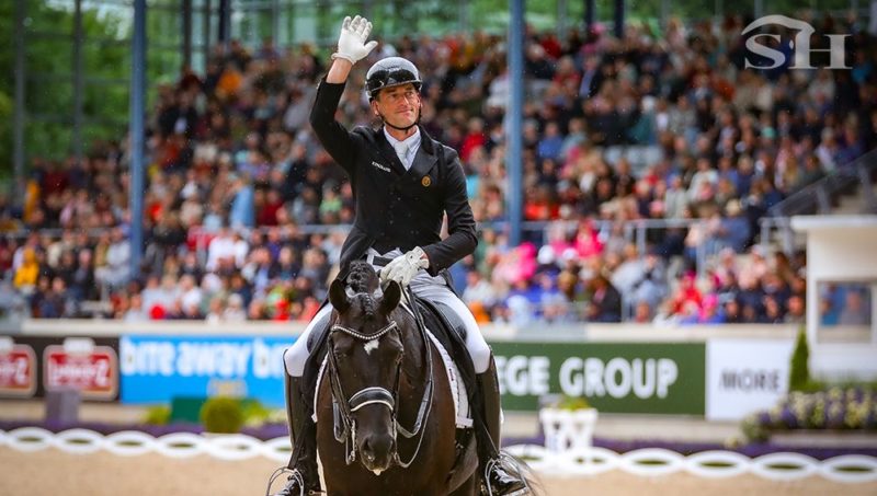 Zonik Plus, Verboomen et le reste du monde