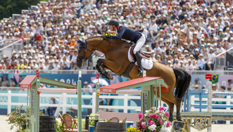 Gold Auction, la première vente Batilly – Bois Margot ce 26 août