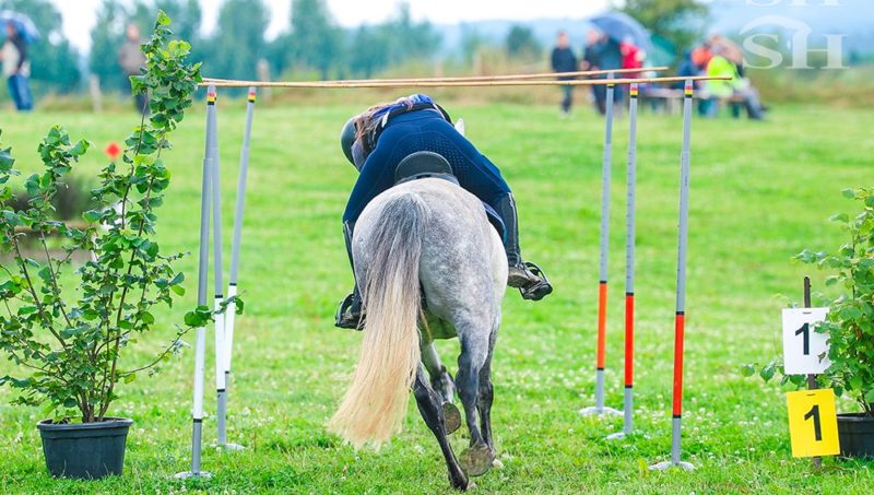 Le TREC, c’est quoi ce truc?