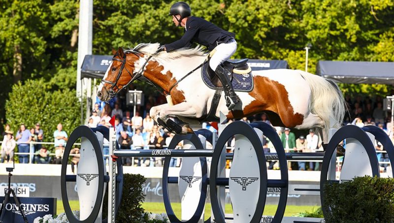 Les pies ne savent pas sauter ?