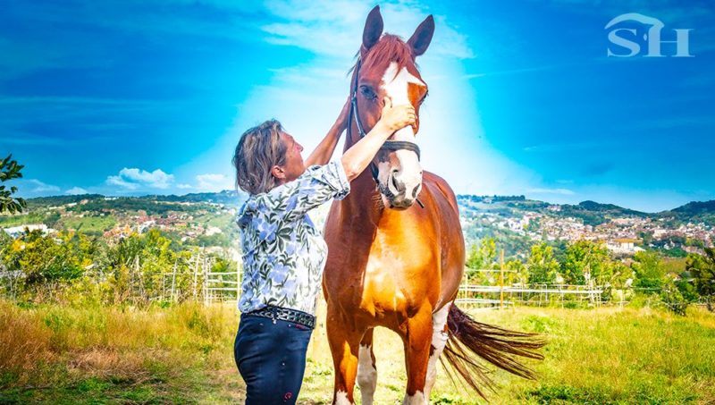 Fabienne Daigneux-Lange : de l’arène aux prairies, l’autre terrain de jeu de la cavalière belge