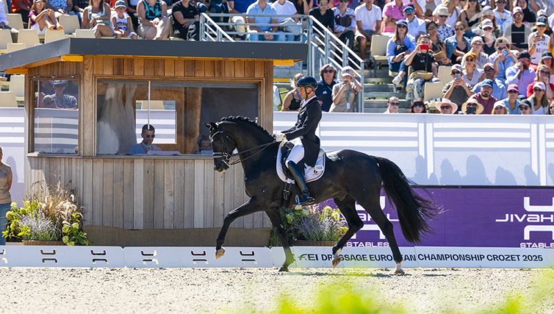 Zonik Plus, les pourcentages stratosphériques