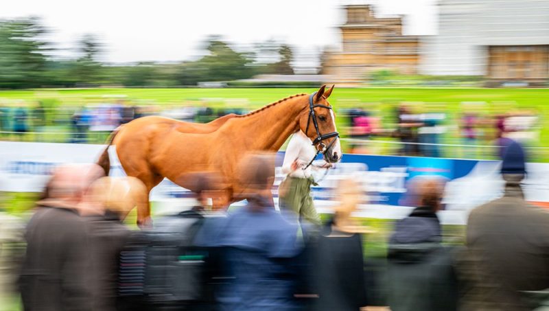 Le coup d’envoi des Européens de complet à Blenheim