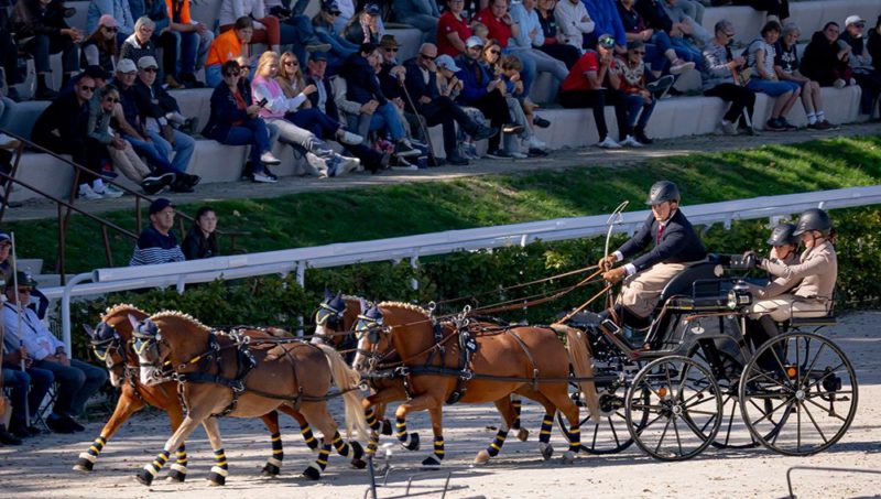 Mondiaux d’Attelage Poneys: Triomphe batave, Pallen doublement bronzé au Pin