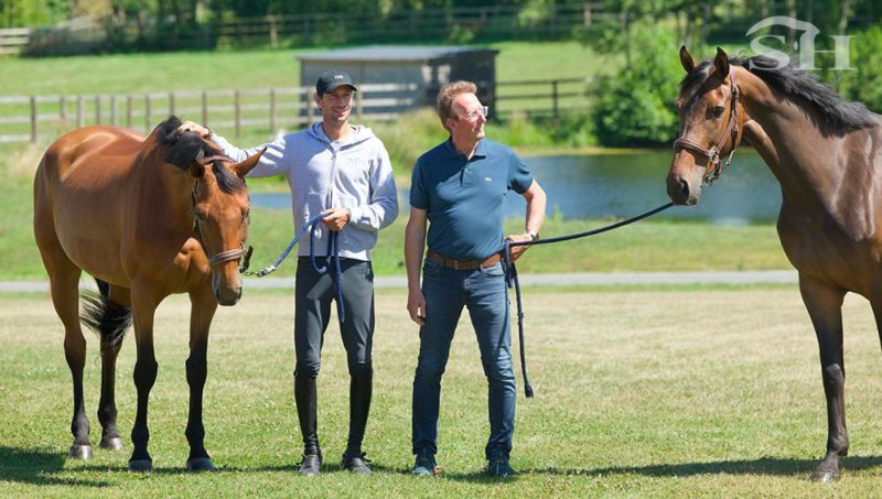 Haras d’Ick Auction, un label de qualité !