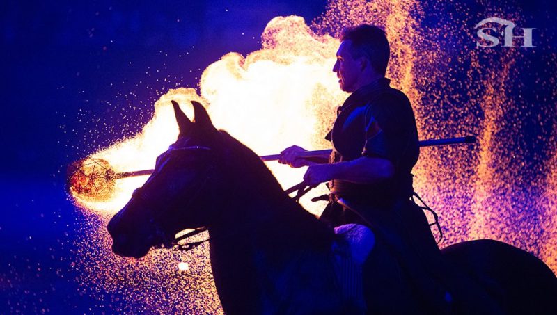 Quand le feu danse avec les chevaux : immersion dans le show de Mathiou Spectacles à Liège