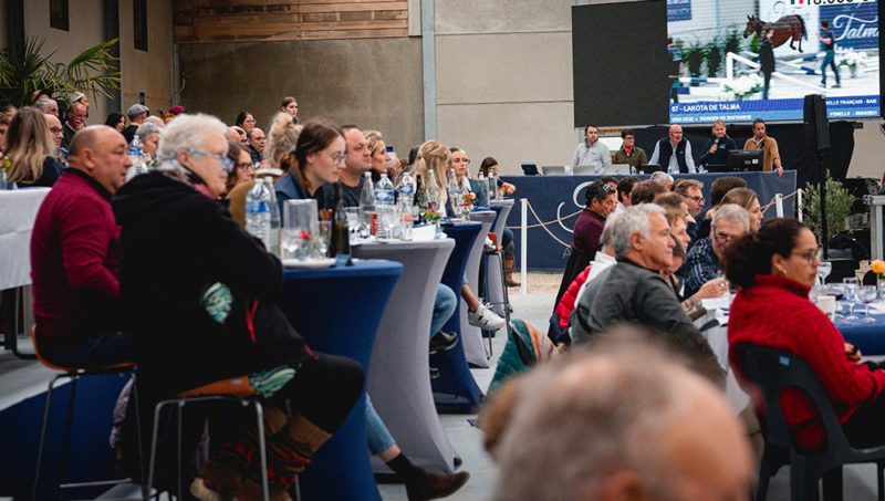 Talma Auction : quand l’ADN du sport part aux enchères