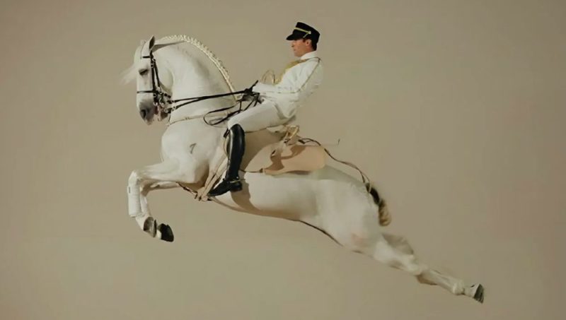 Abu Dhabi s’invite à la table des grandes écoles d’art équestre
