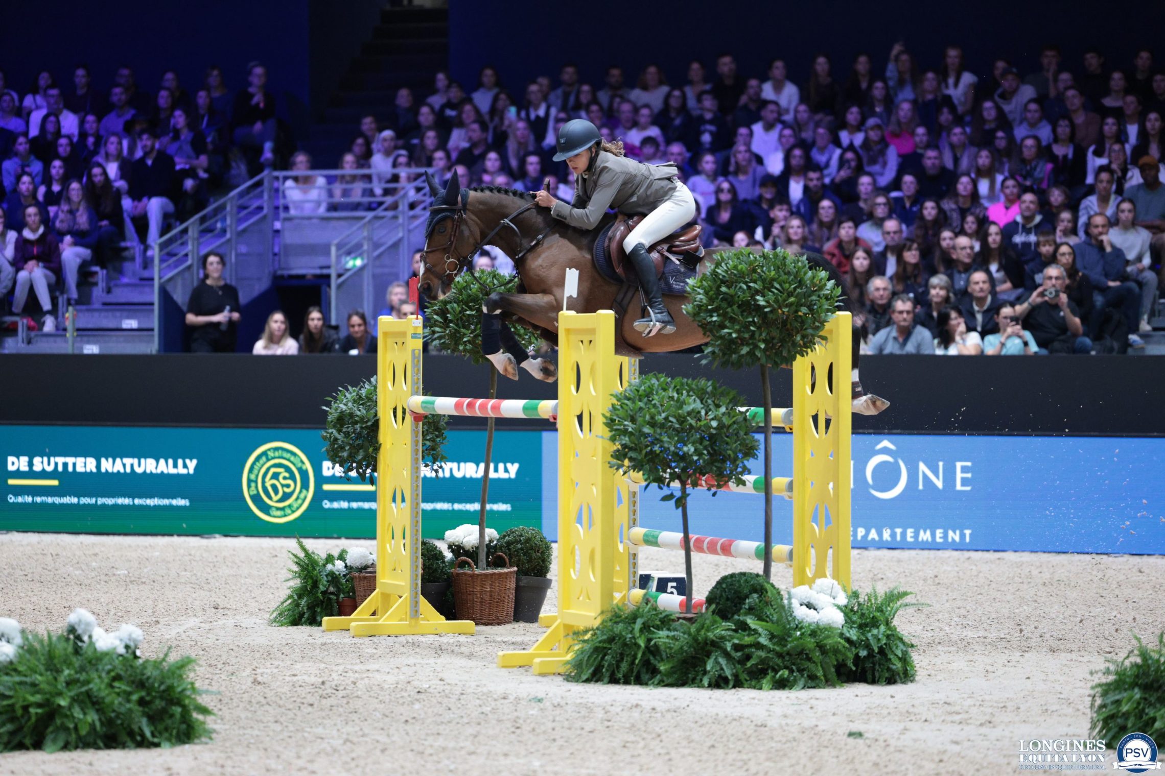 Trophée Coupe Du Cheval Arabe Menton 1991-2021 - 30 Ans - Équitation France
