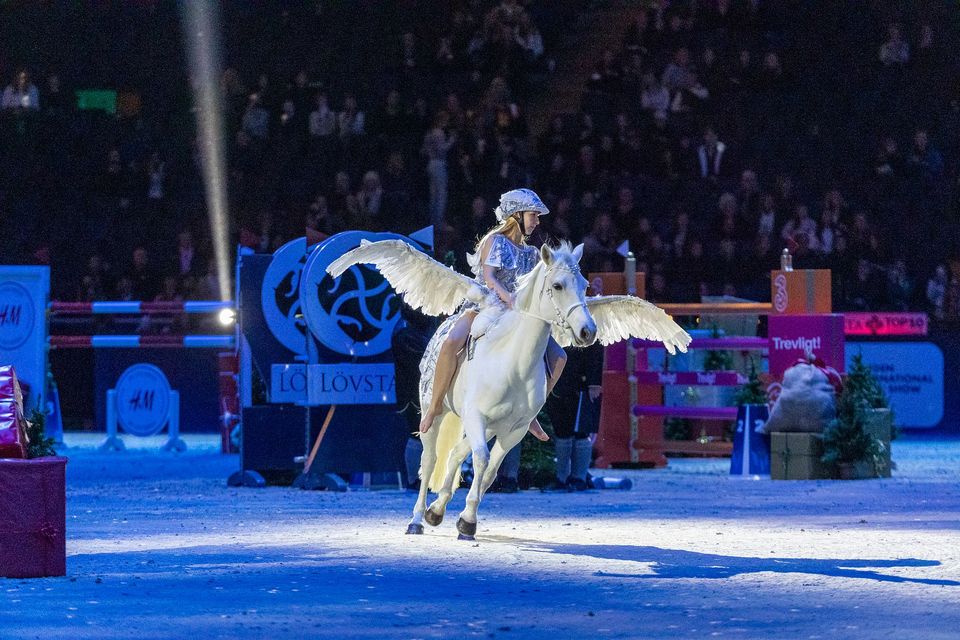 Sweden International Horse Show