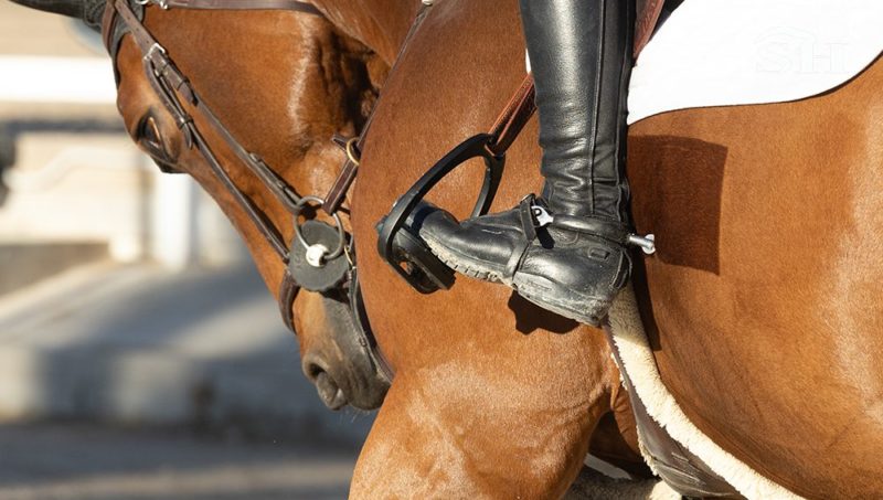 Sang chaud, sang froid : la FEI revoit la « règle du sang », la Grande-Bretagne voit rouge