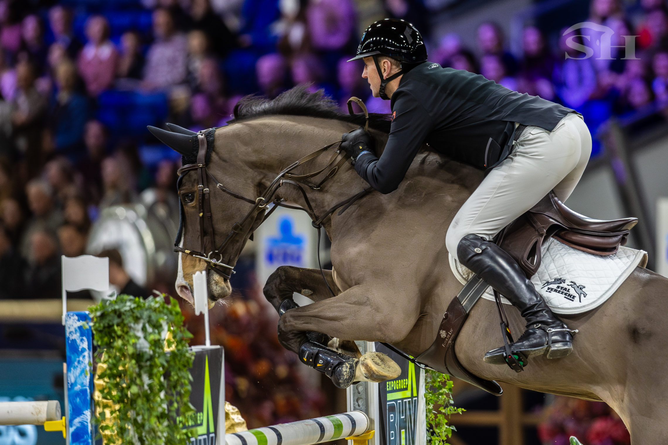 Koen Vereecke Oilily de Muze