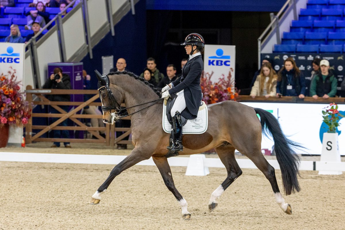 dressage Malines Pauluis