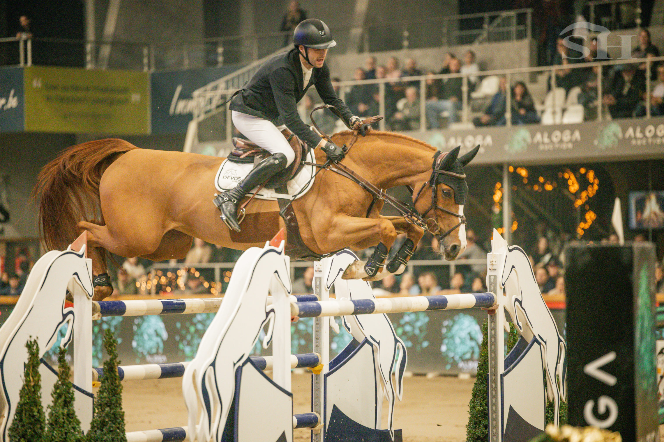 Sentower Christmas Classic