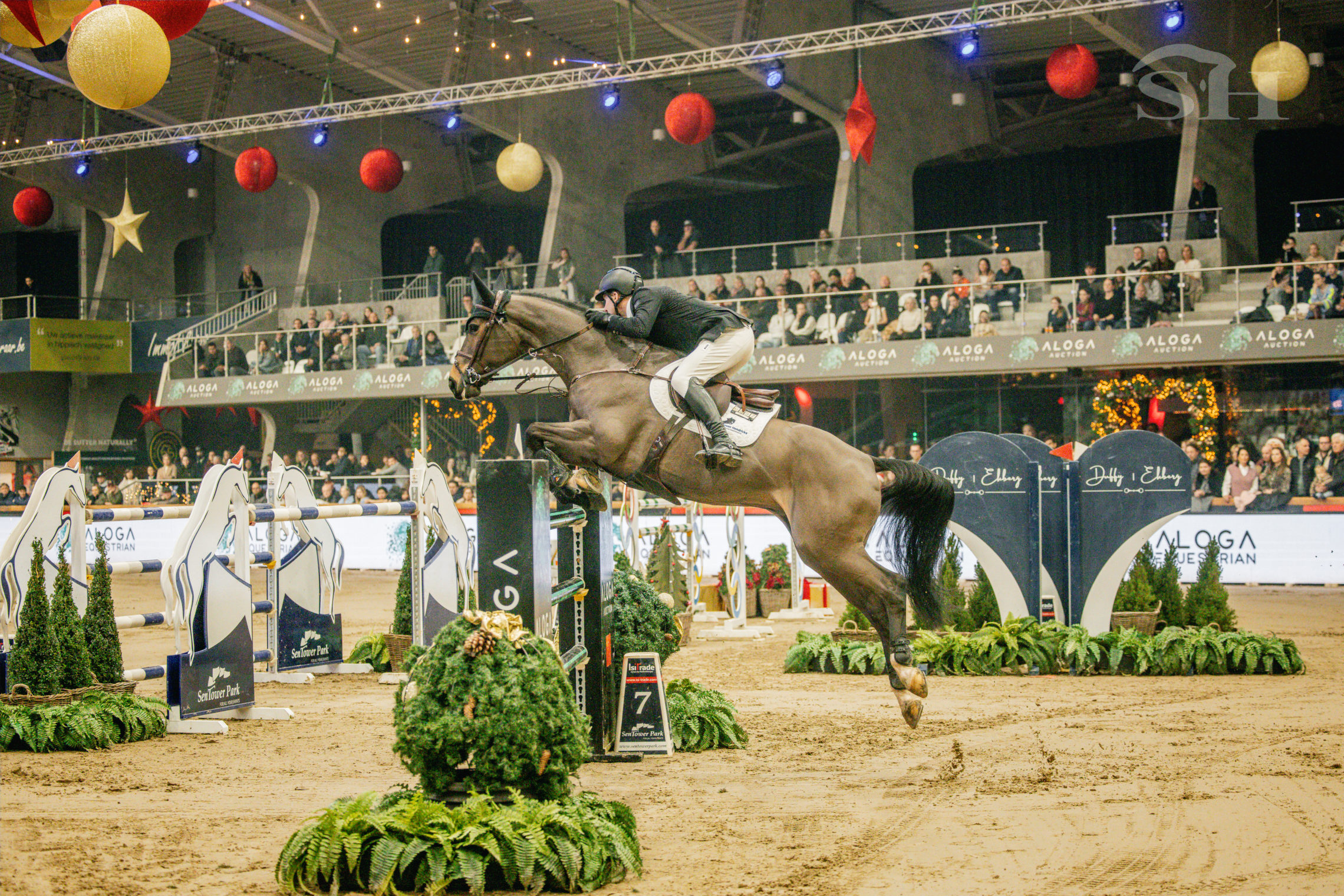 Sentower Christmas Classic