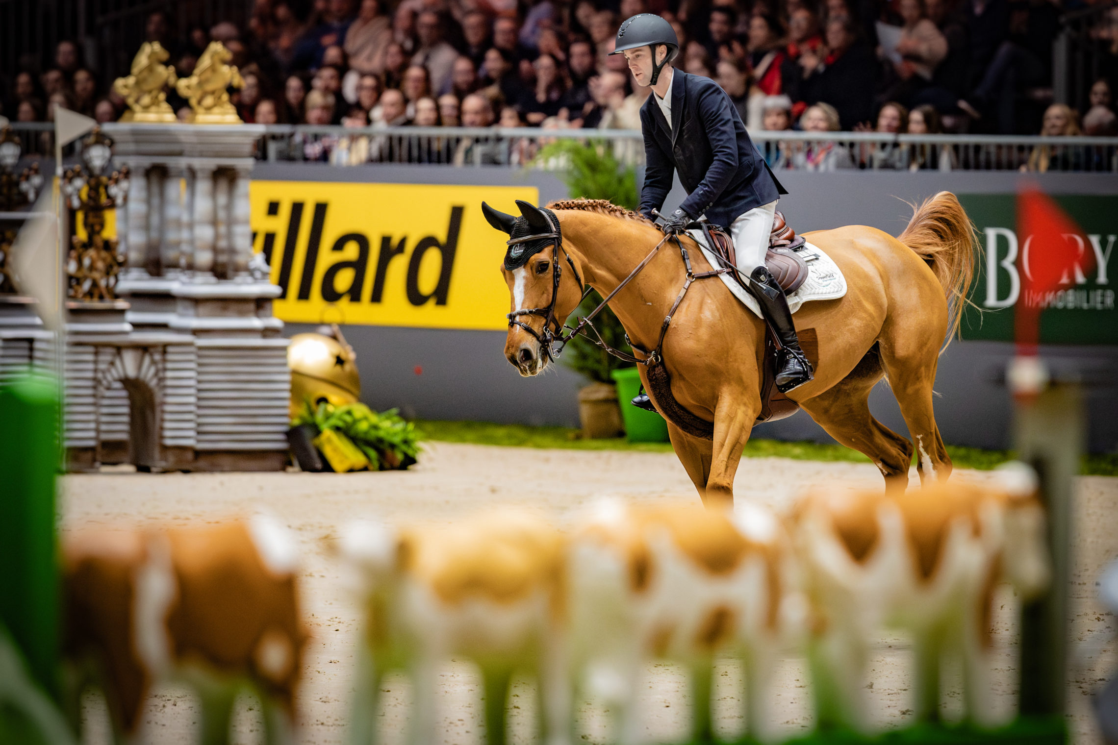 Gilles Thomas Top 10