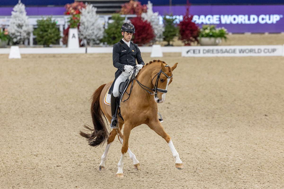 dressage Malines Verboomen 