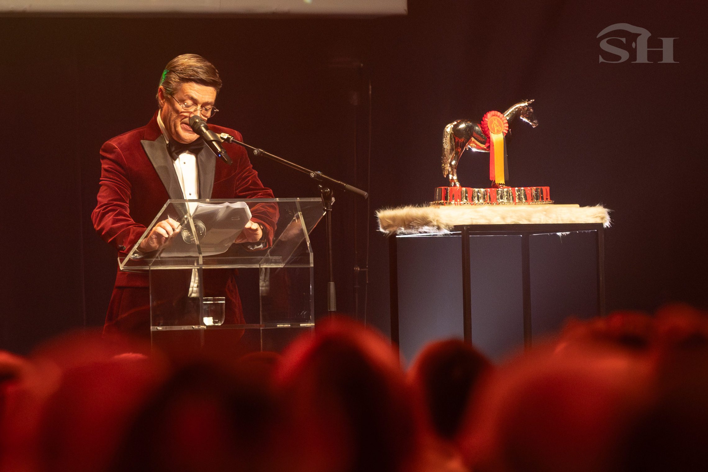 Stephan Detry Equigala