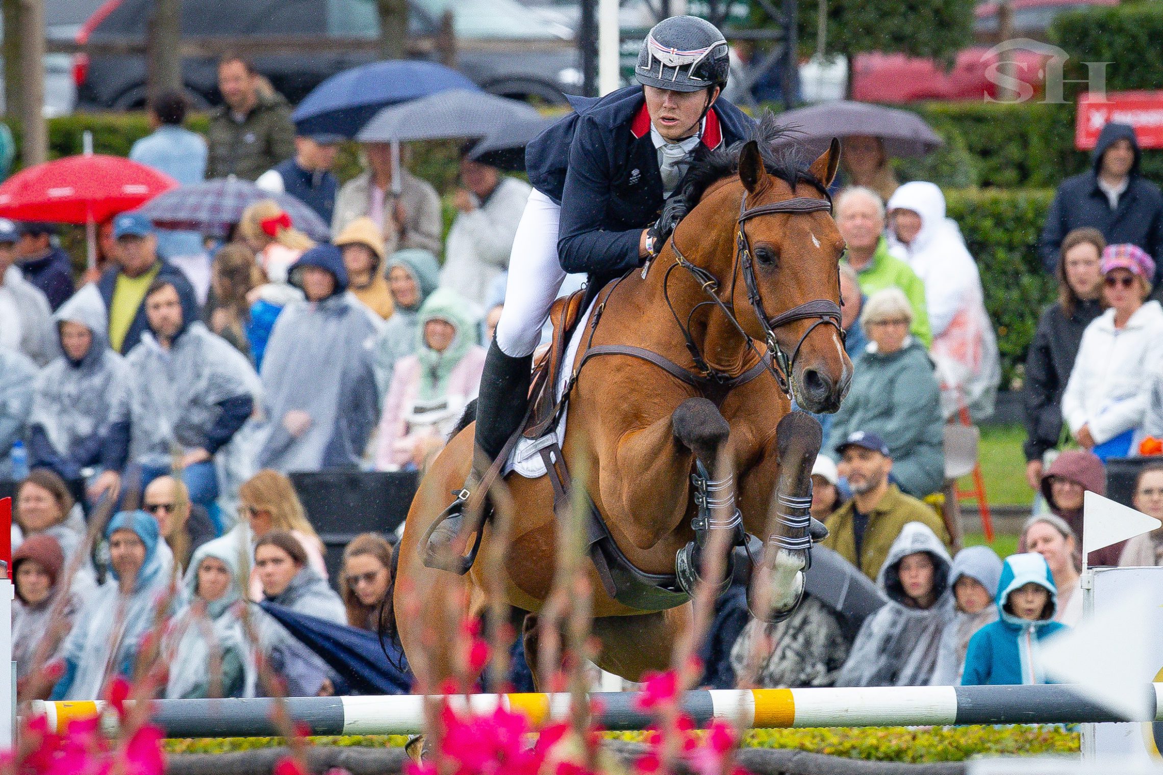 Harry Charles - Casquo Blue