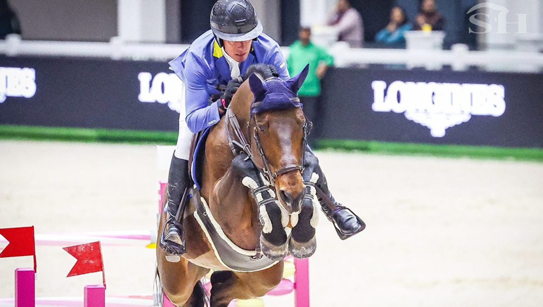 Journée noire pour l’obstacle… D’Aganix 2000 Z disparait à 12 ans seulement.