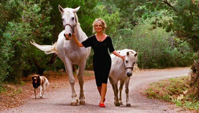 Brigitte Bardot et les chevaux : du galop de cinéma au combat jusqu’au bout
