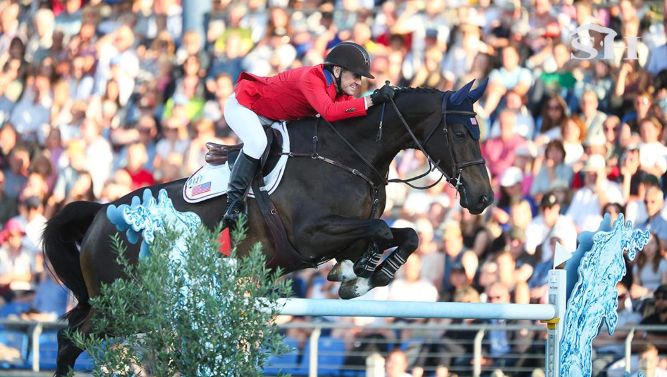 La dernière bataille de « Paddy »