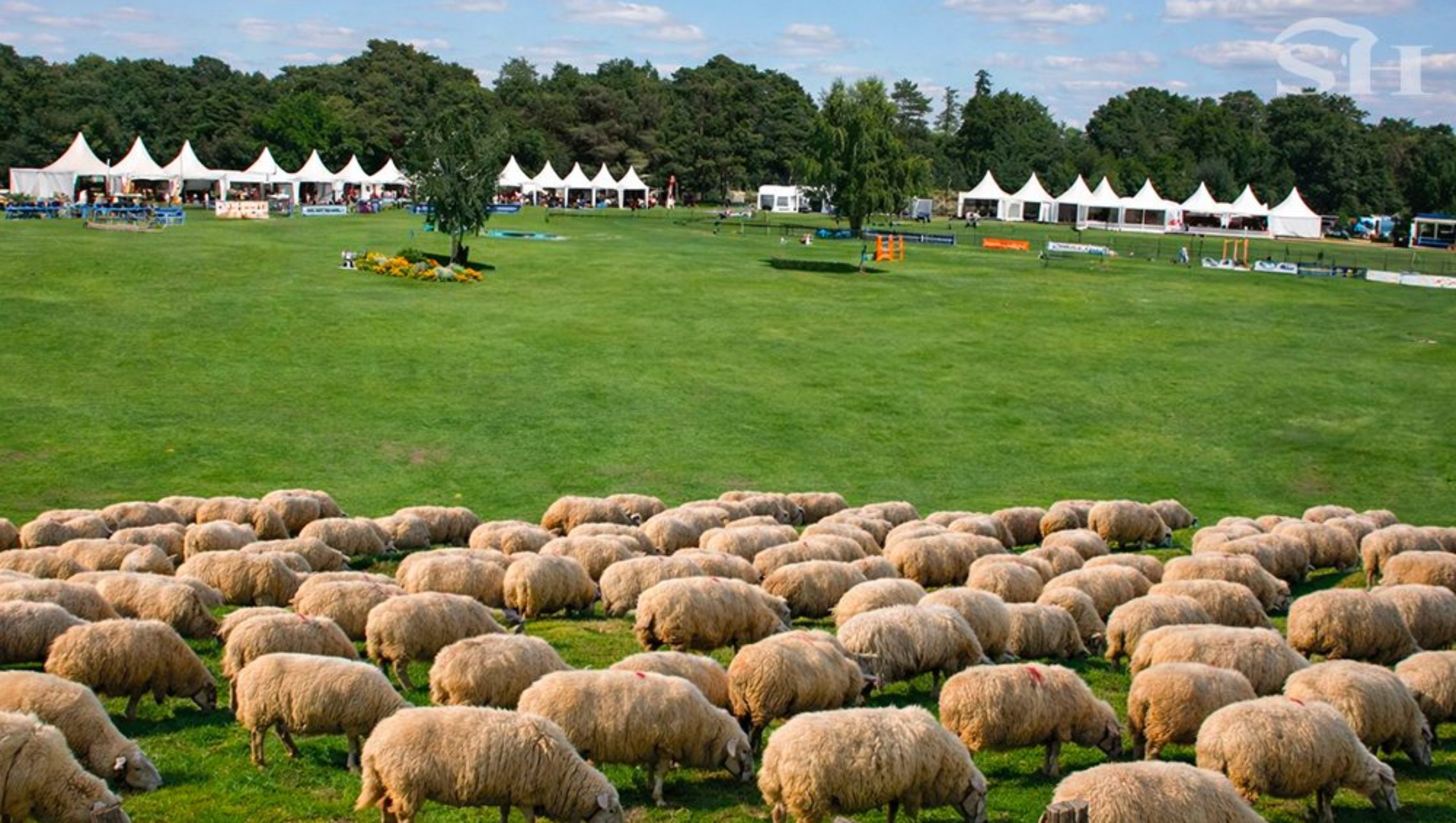 Le Grand Parquet passe en mode transhumance