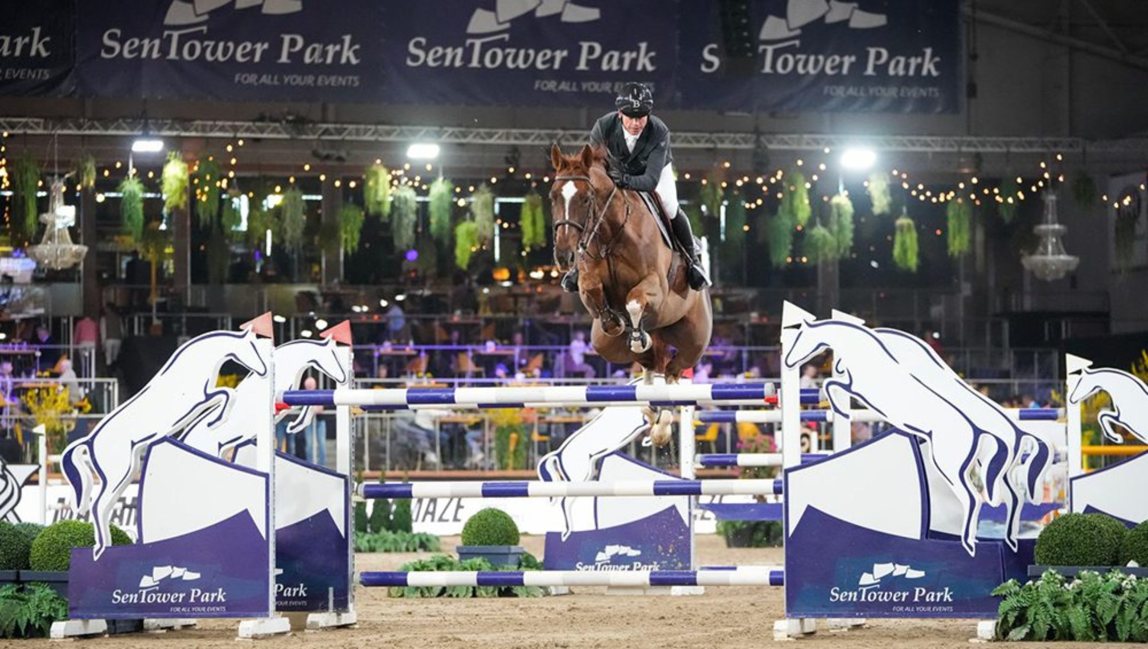 Julien Épaillard, vitesse grand V à Zangersheide International