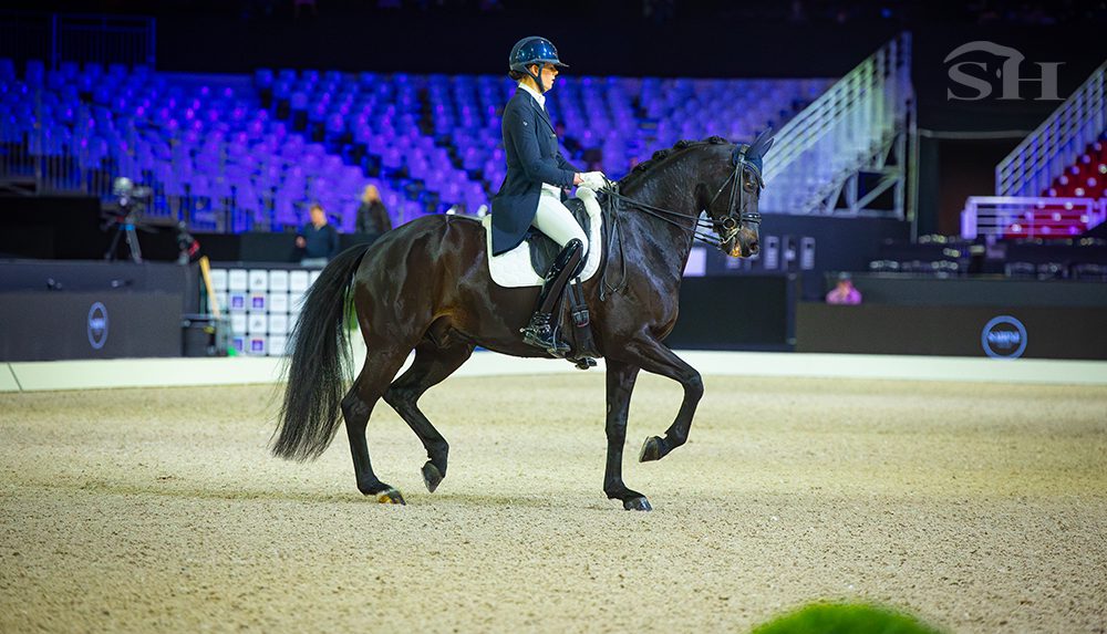 Jorinde Verwimp Lotus-S